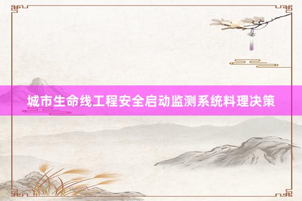 城市生命线工程安全启动监测系统料理决策
